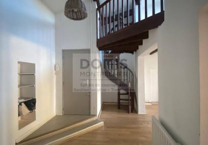 location Appartement mezzanine Lunel Viel