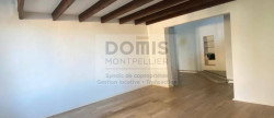 location Appartement mezzanine Lunel Viel