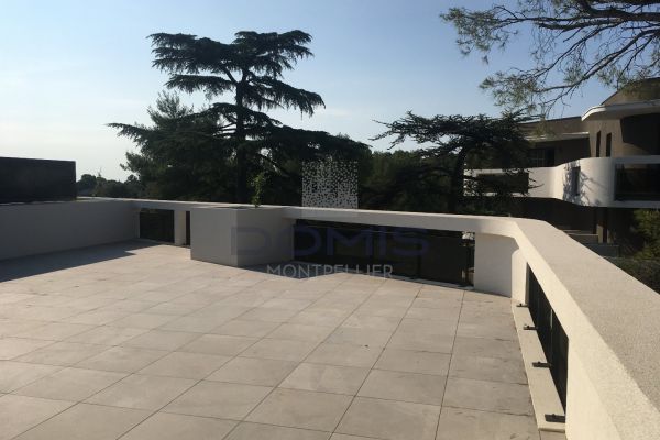 à louer Appartement terrasse Montpellier