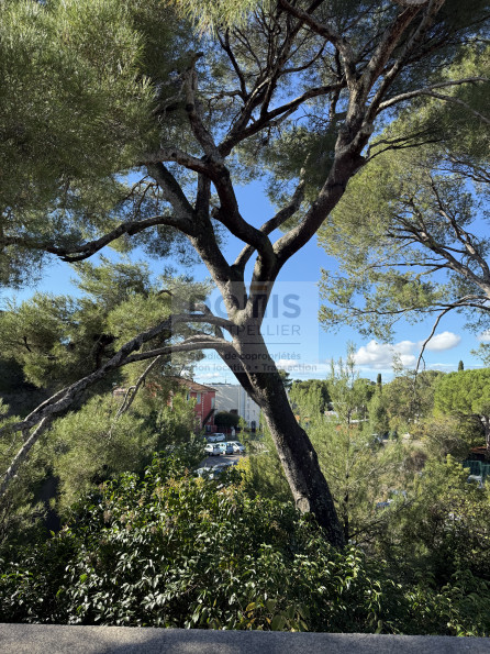 vente Appartement terrasse Montpellier - Photo 4