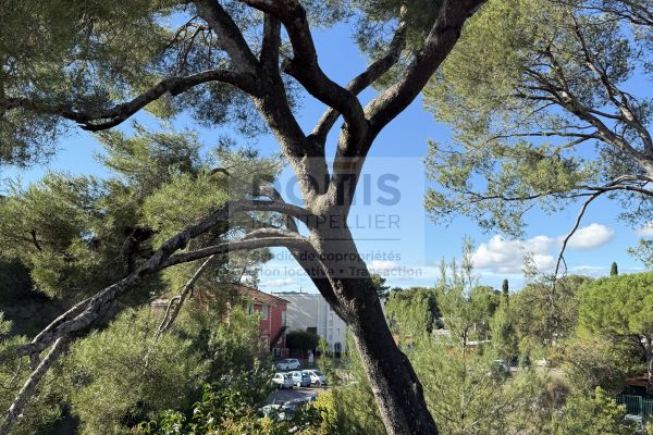 à vendre Appartement terrasse Montpellier