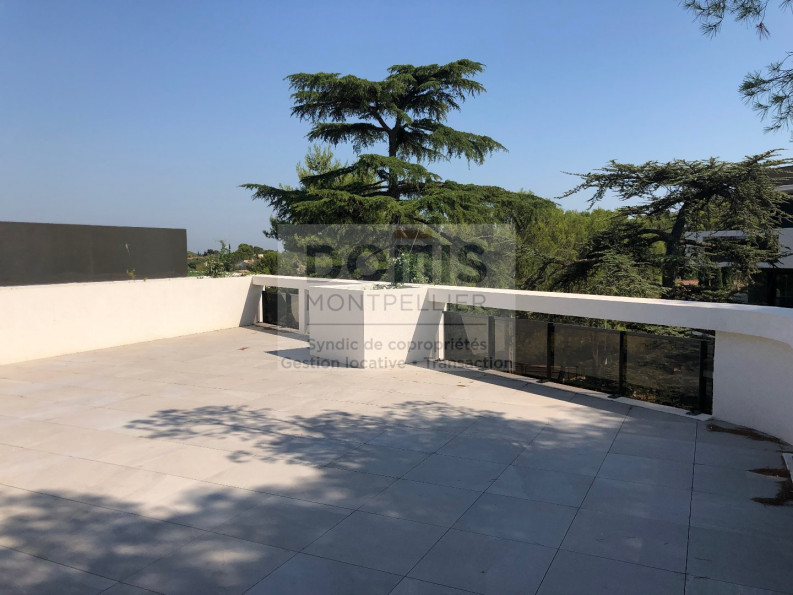 vente Appartement terrasse Montpellier - Photo 1