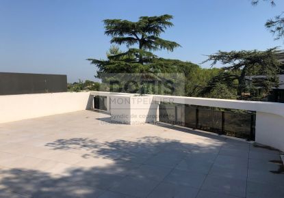 vente Appartement terrasse Montpellier