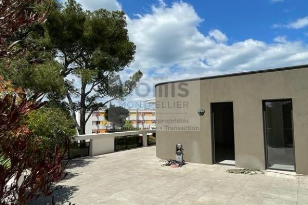 à vendre Appartement terrasse Montpellier