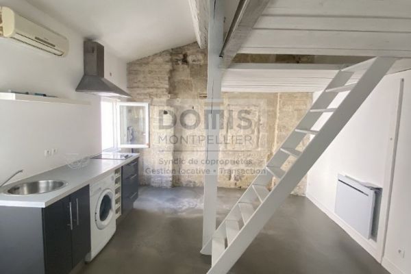 à louer Studio mezzanine Montpellier