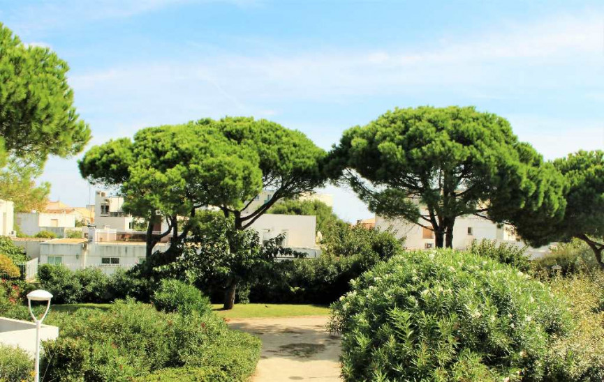 à vendre Maison de plage Carnon Plage - Photo 4