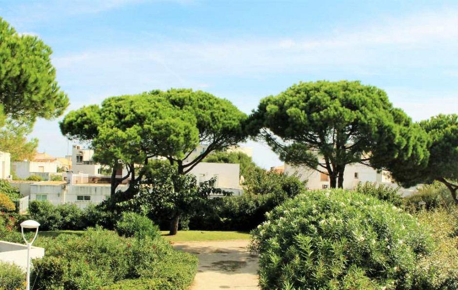 vente Maison de plage Carnon Plage - Photo 4