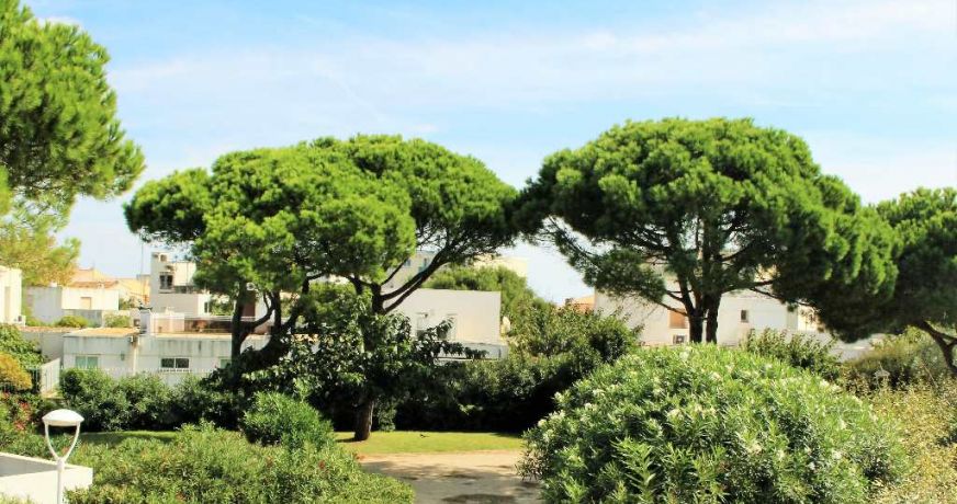 vente Maison de plage Carnon Plage