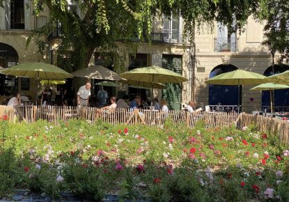 vente Appartement bourgeois Montpellier