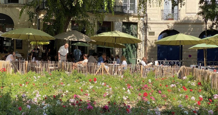 vente Appartement bourgeois Montpellier