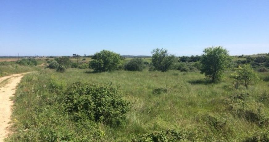 vente Terrain agricole Valros