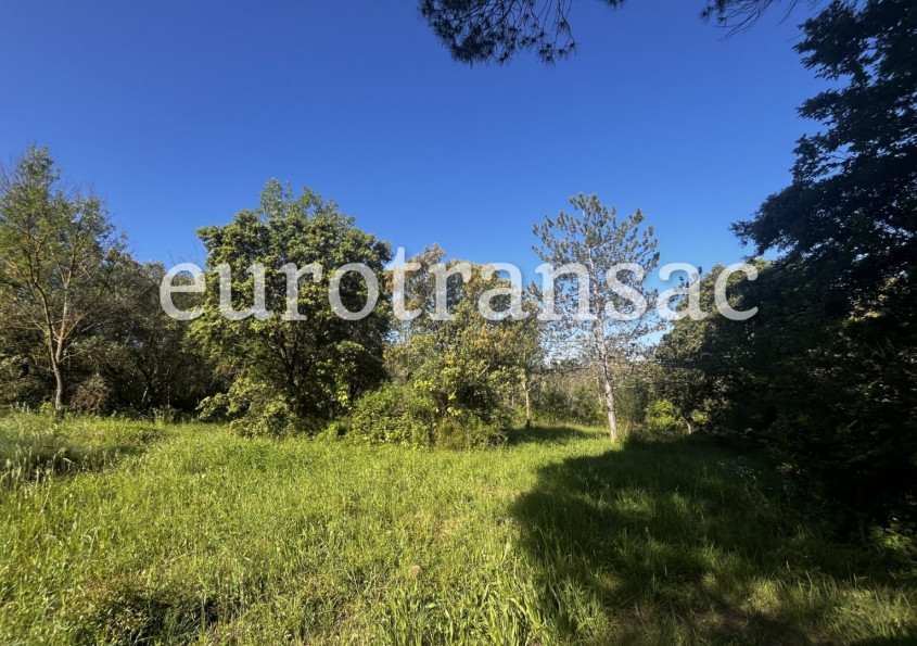 vente Terrain agricole Saint Pargoire - Photo 10