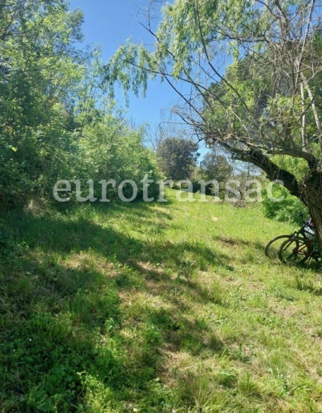 vente Terrain agricole Saint Pargoire - Photo 6