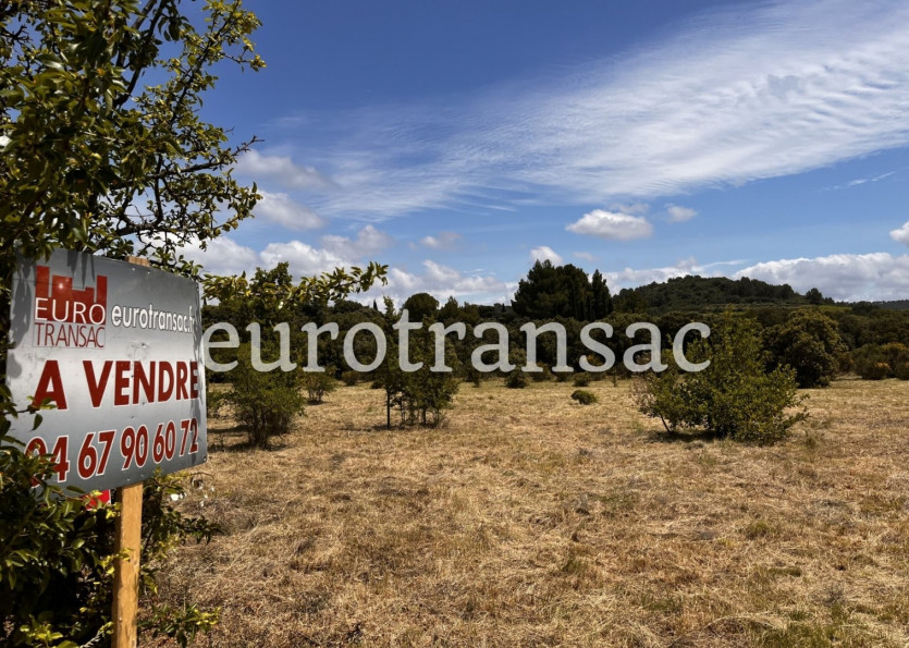 vente Terrain agricole Aumelas - Photo 1