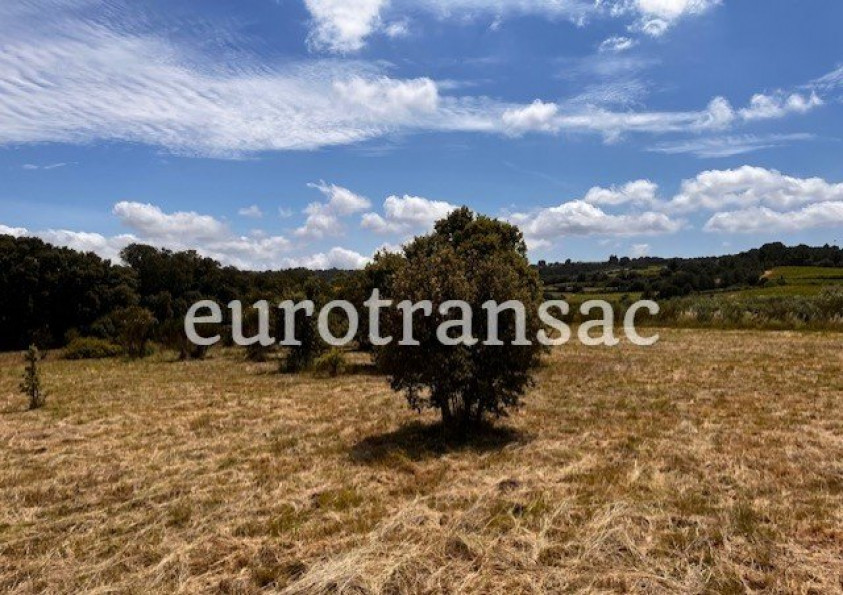 vente Terrain agricole Aumelas - Photo 2