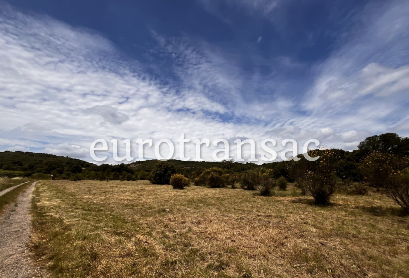 vente Terrain agricole Aumelas - Photo 3