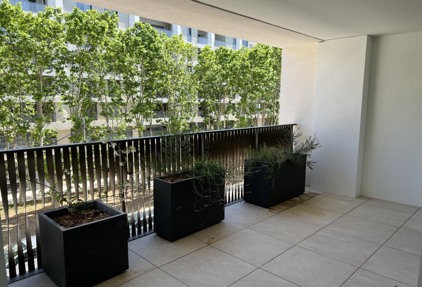 location Appartement Montpellier - Photo 1