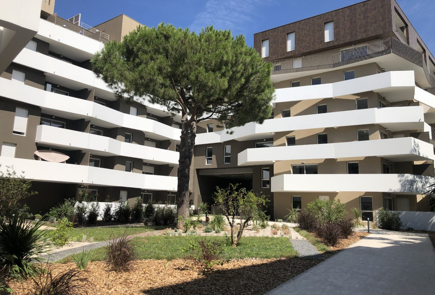 location Appartement Montpellier - Photo 1