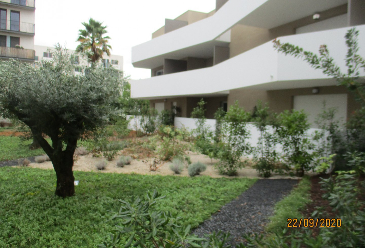 location Appartement Montpellier - Photo 4