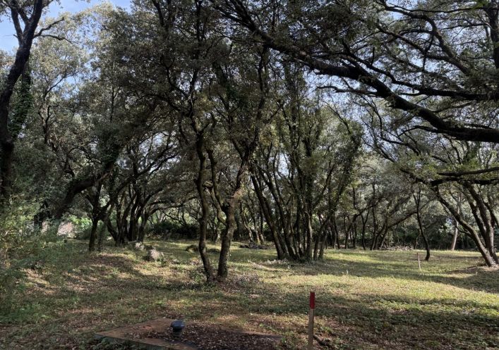 vente Terrain constructible Beaulieu