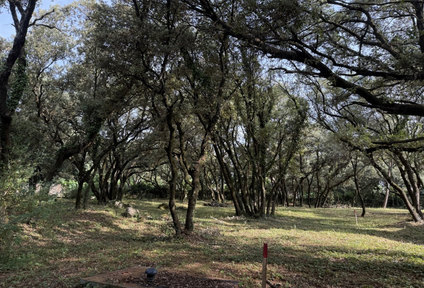 vente Terrain constructible Beaulieu - Photo 1