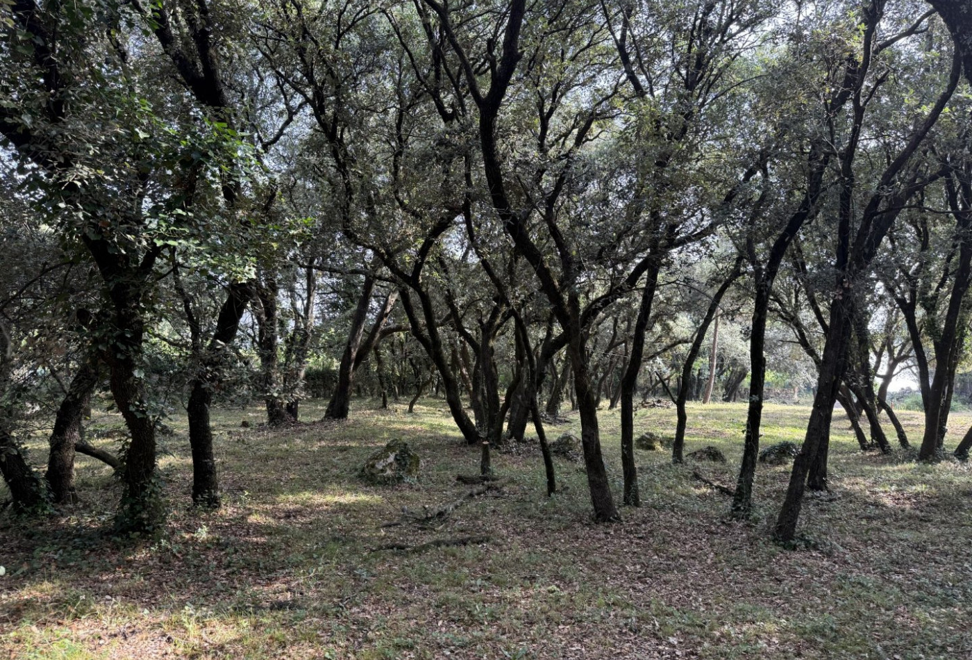 vente Terrain constructible Beaulieu - Photo 6