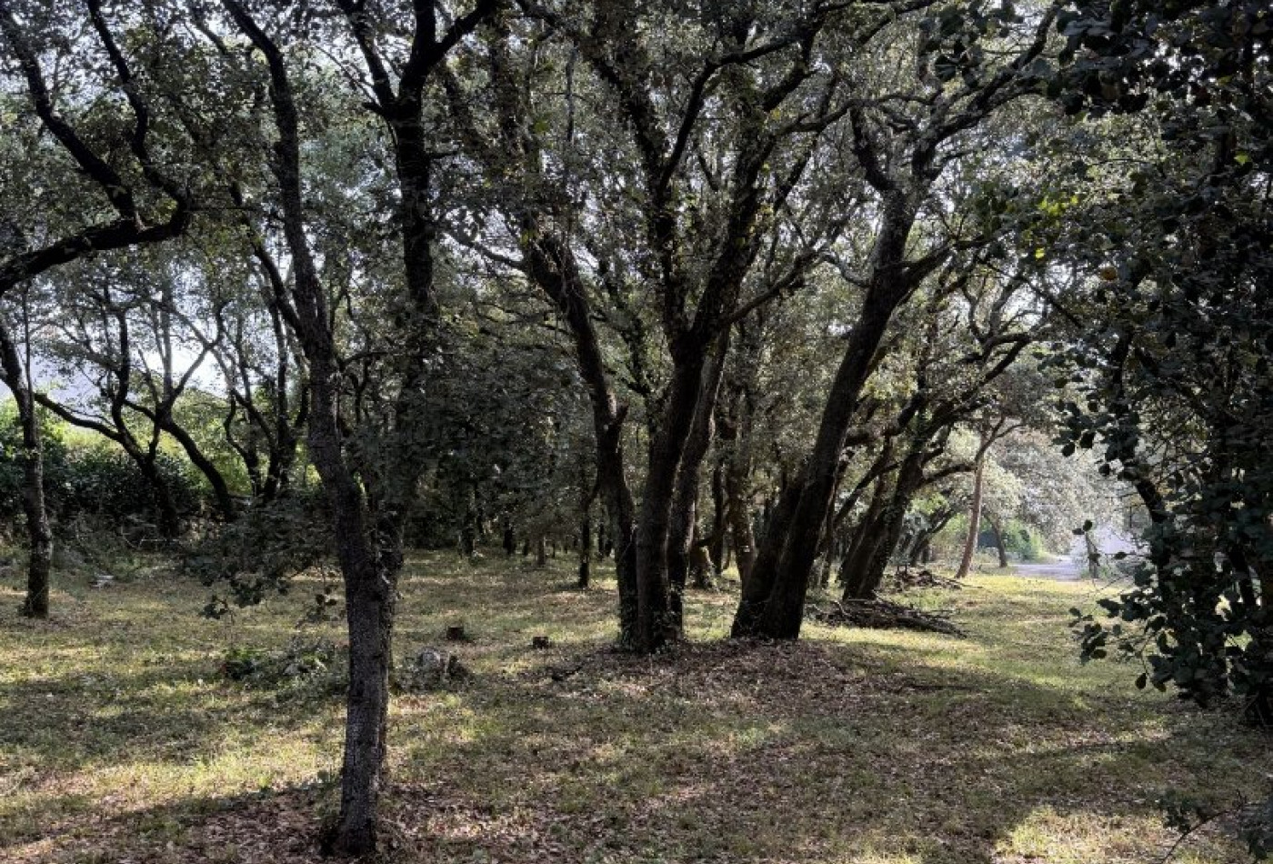 vente Terrain constructible Beaulieu - Photo 7