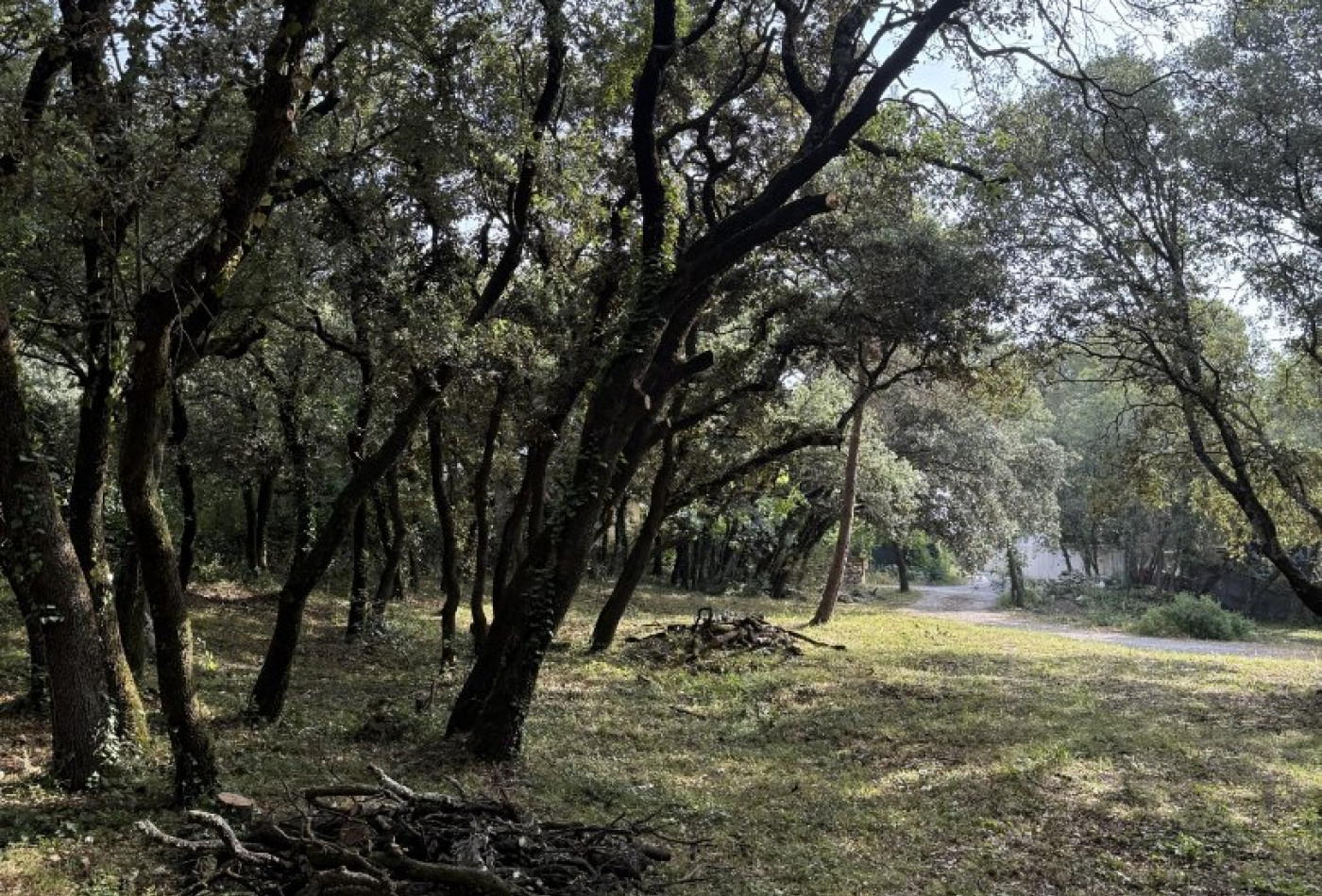 vente Terrain constructible Beaulieu - Photo 8