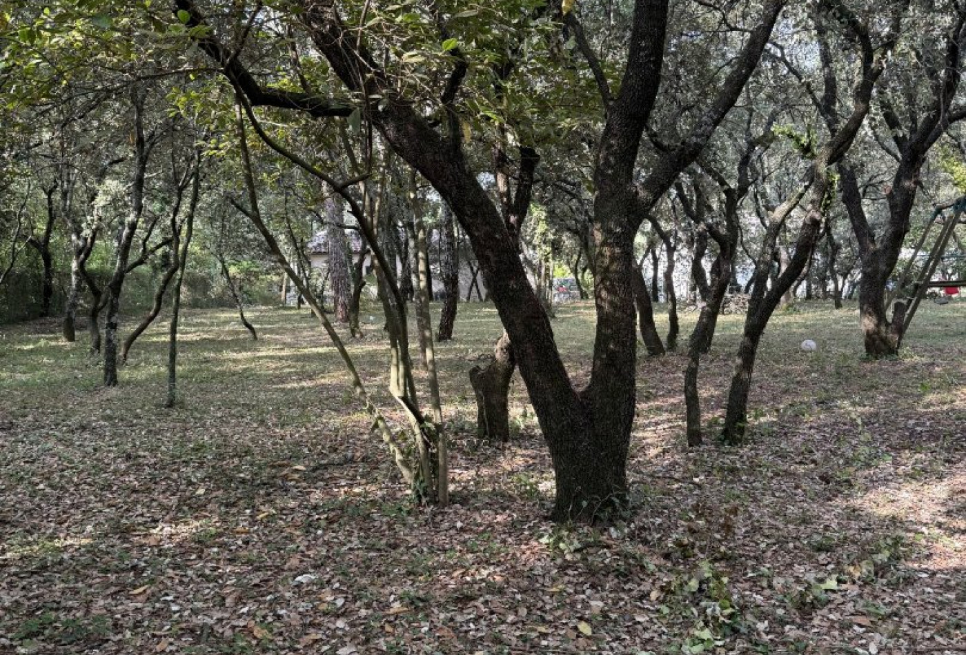 vente Terrain constructible Beaulieu - Photo 10