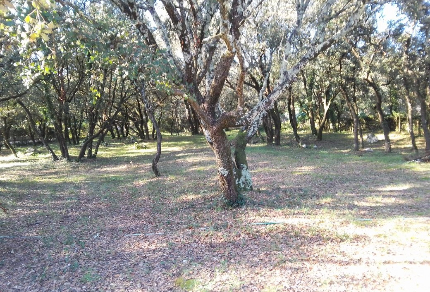 vente Terrain constructible Beaulieu - Photo 1