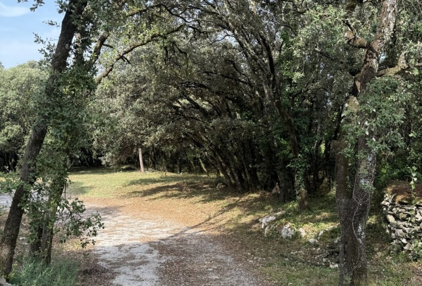 vente Terrain constructible Beaulieu - Photo 2