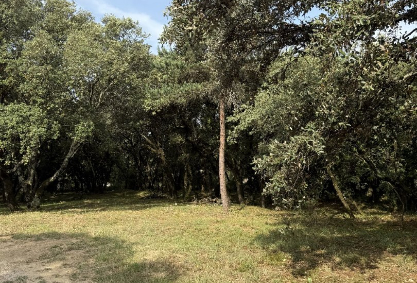 vente Terrain constructible Beaulieu - Photo 3