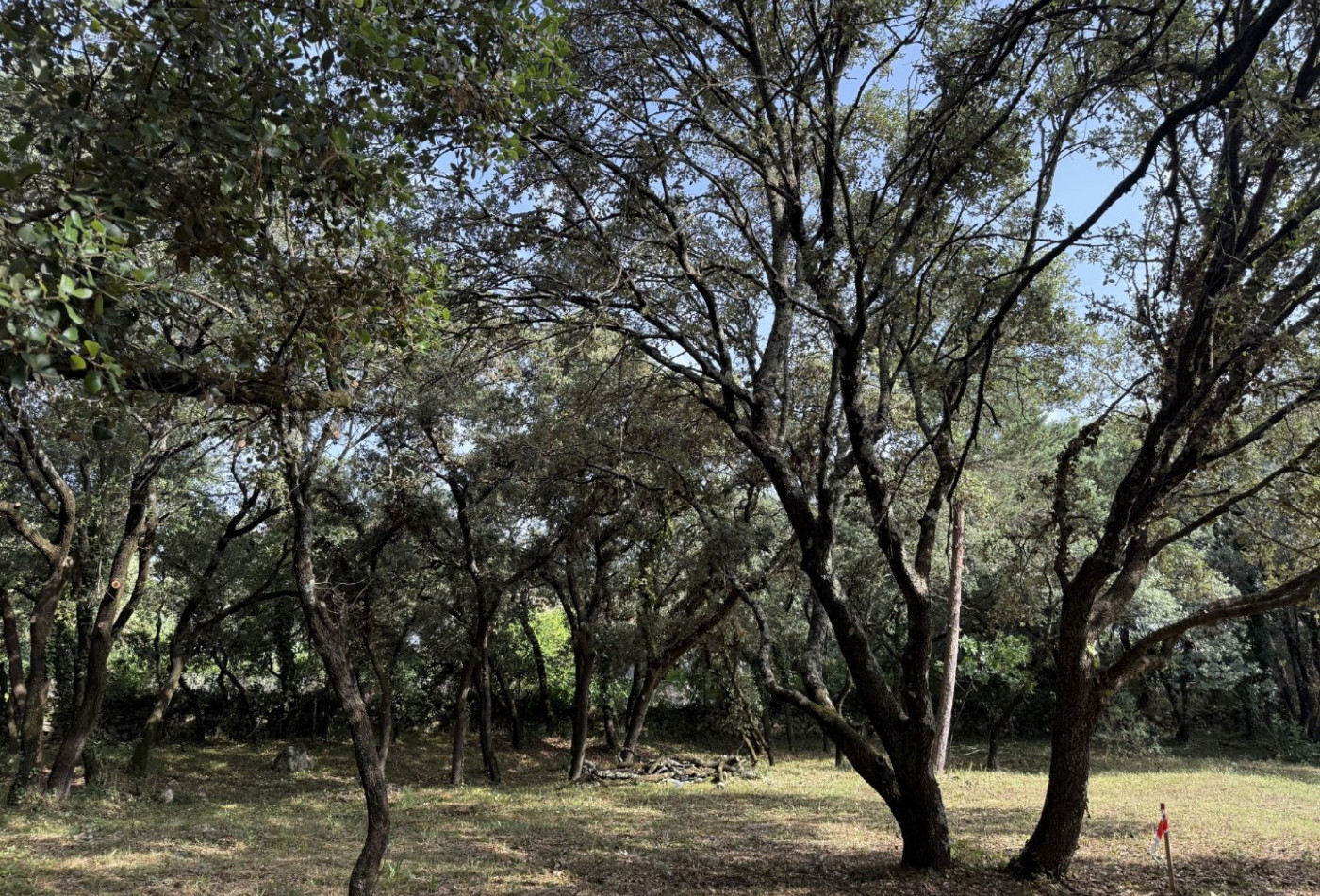 vente Terrain constructible Beaulieu - Photo 4