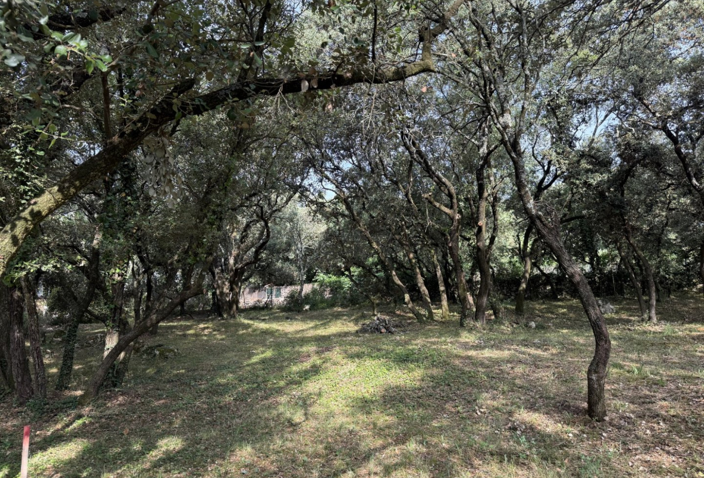 vente Terrain constructible Beaulieu - Photo 9