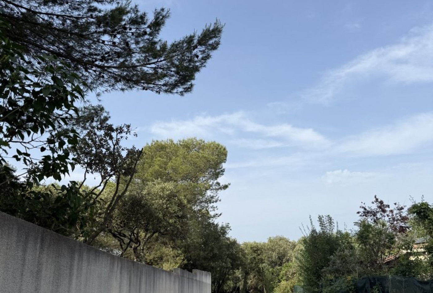 sale Terrain Beaulieu - Photo 5