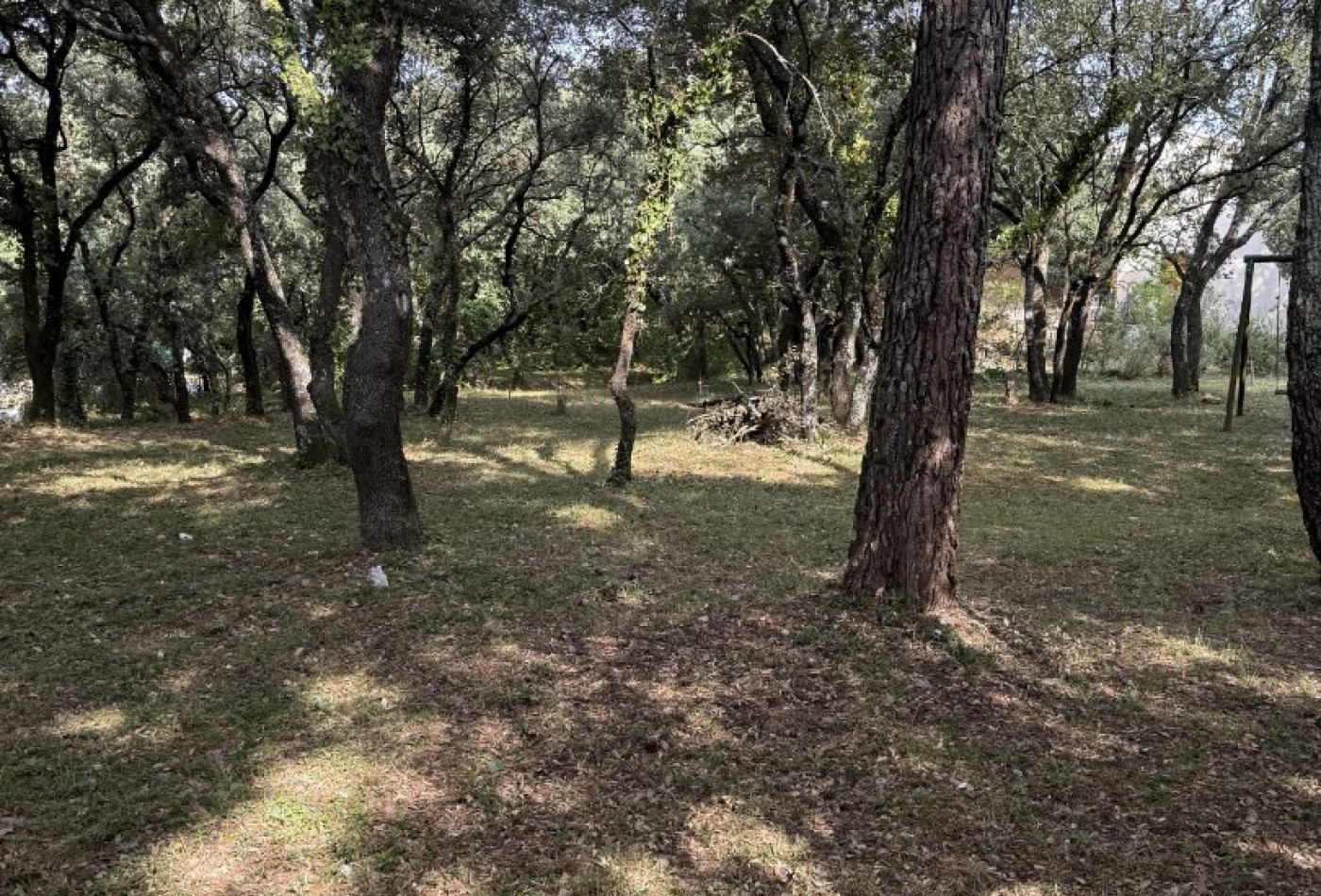 sale Terrain Beaulieu - Photo 3