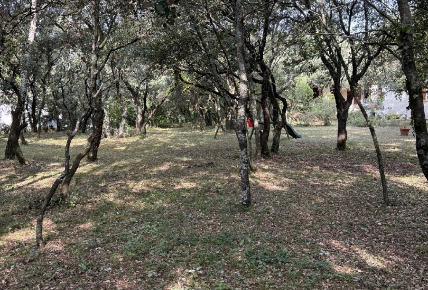 sale Terrain Beaulieu - Photo 4