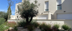location Triplex Montpellier