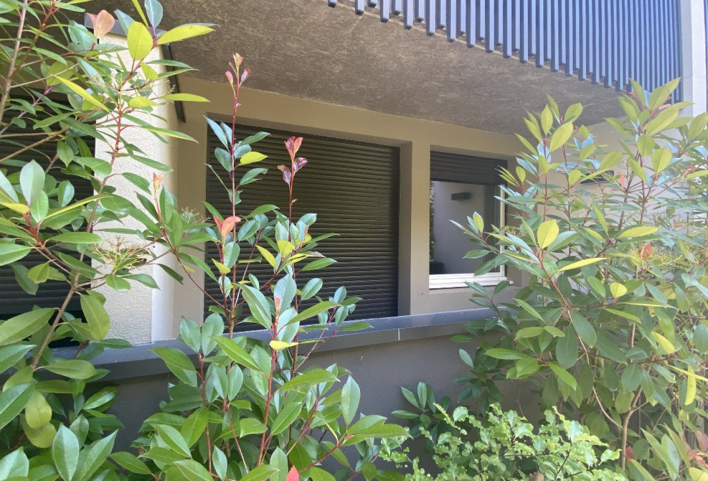 location Appartement Castelnau Le Lez - Photo 2