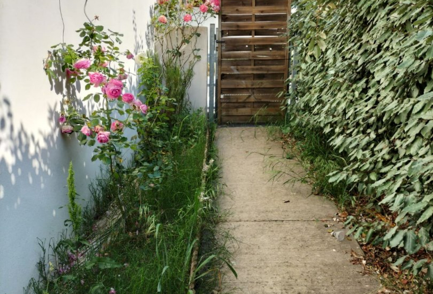 sale Maison Montpellier - Photo 5