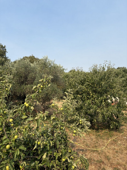 vente Terrain constructible Laroque - Photo 2