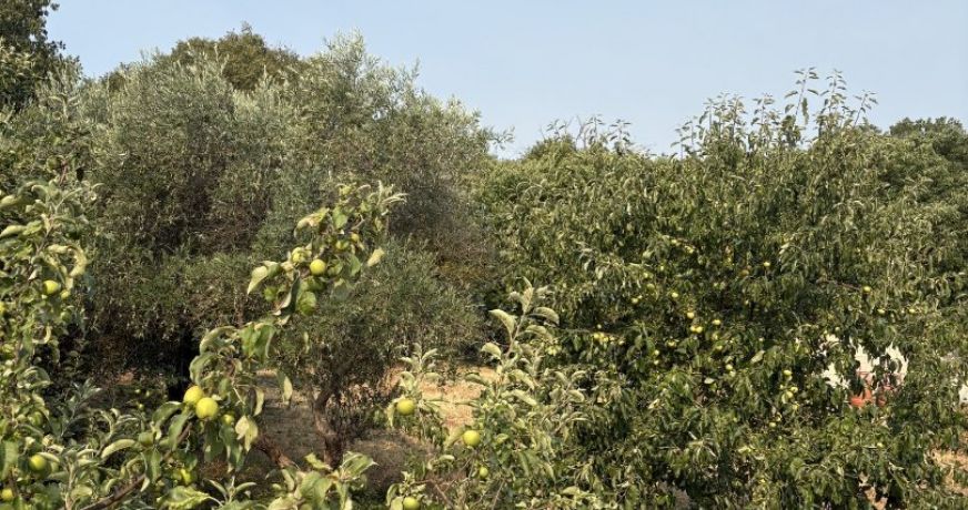 vente Terrain constructible Laroque