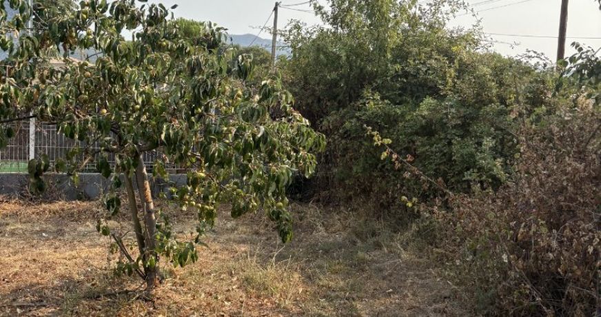vente Terrain constructible Laroque