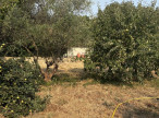 vente Terrain constructible Laroque