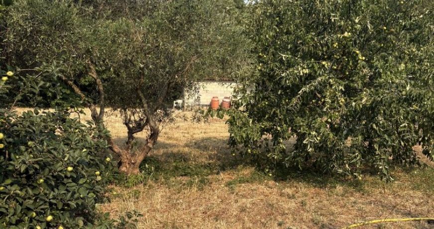 vente Terrain constructible Laroque