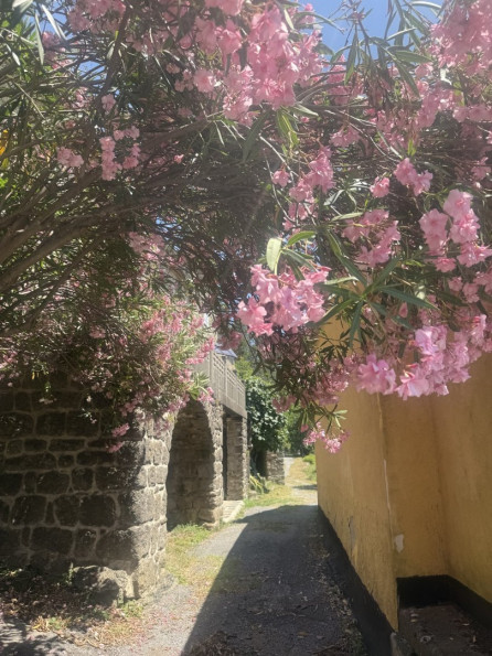 vente Maison Bordezac - Photo 1