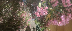 vente Maison Bordezac