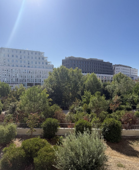 location Appartement Montpellier - Photo 9