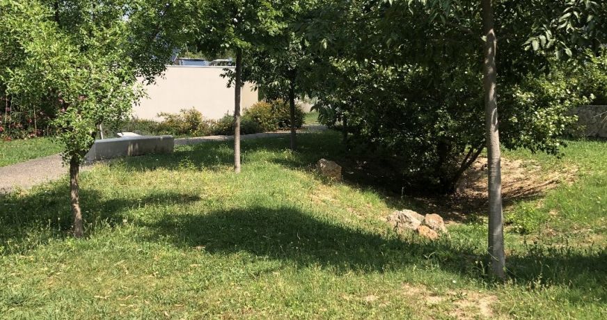 vente Appartement Castelnau Le Lez