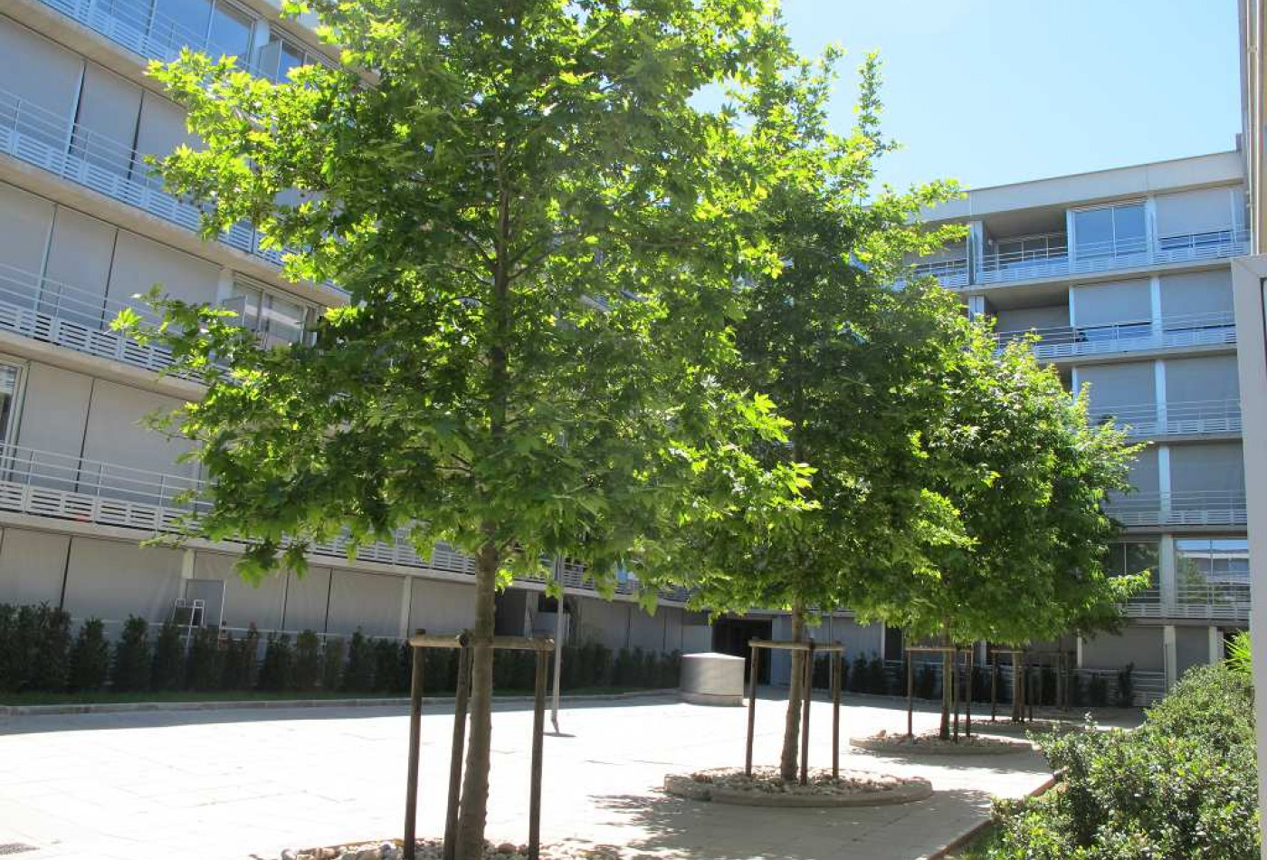 location Appartement Montpellier - Photo 1